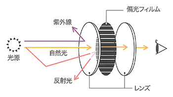 編乱反射・ぎらつきを抑制