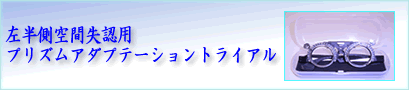 プリズムアダプテーショントライアル
