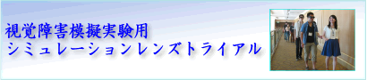 シミュレーションレンズトライアル